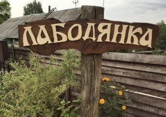 Image alt